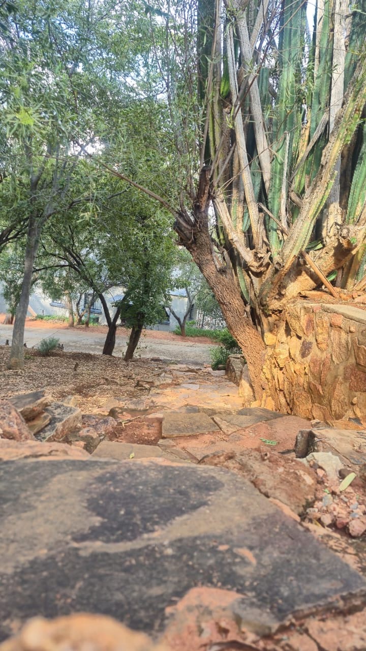 13 Bedroom Property for Sale in Wilkoppies North West
